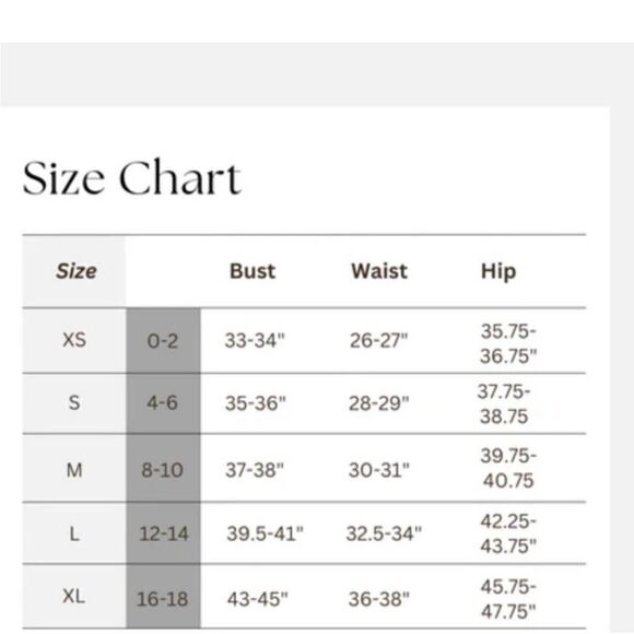 NWT Alexia Admor Flora Ostrich Feather Mini Skirt size 6 - Picture 9 of 9